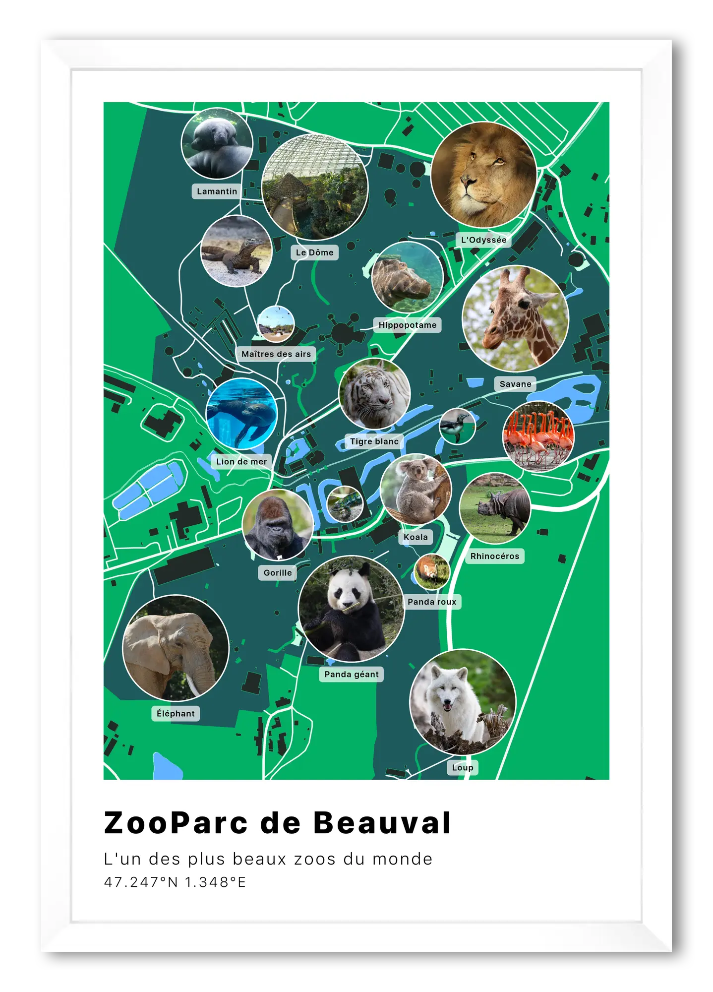 🐼 Zoo de Beauval